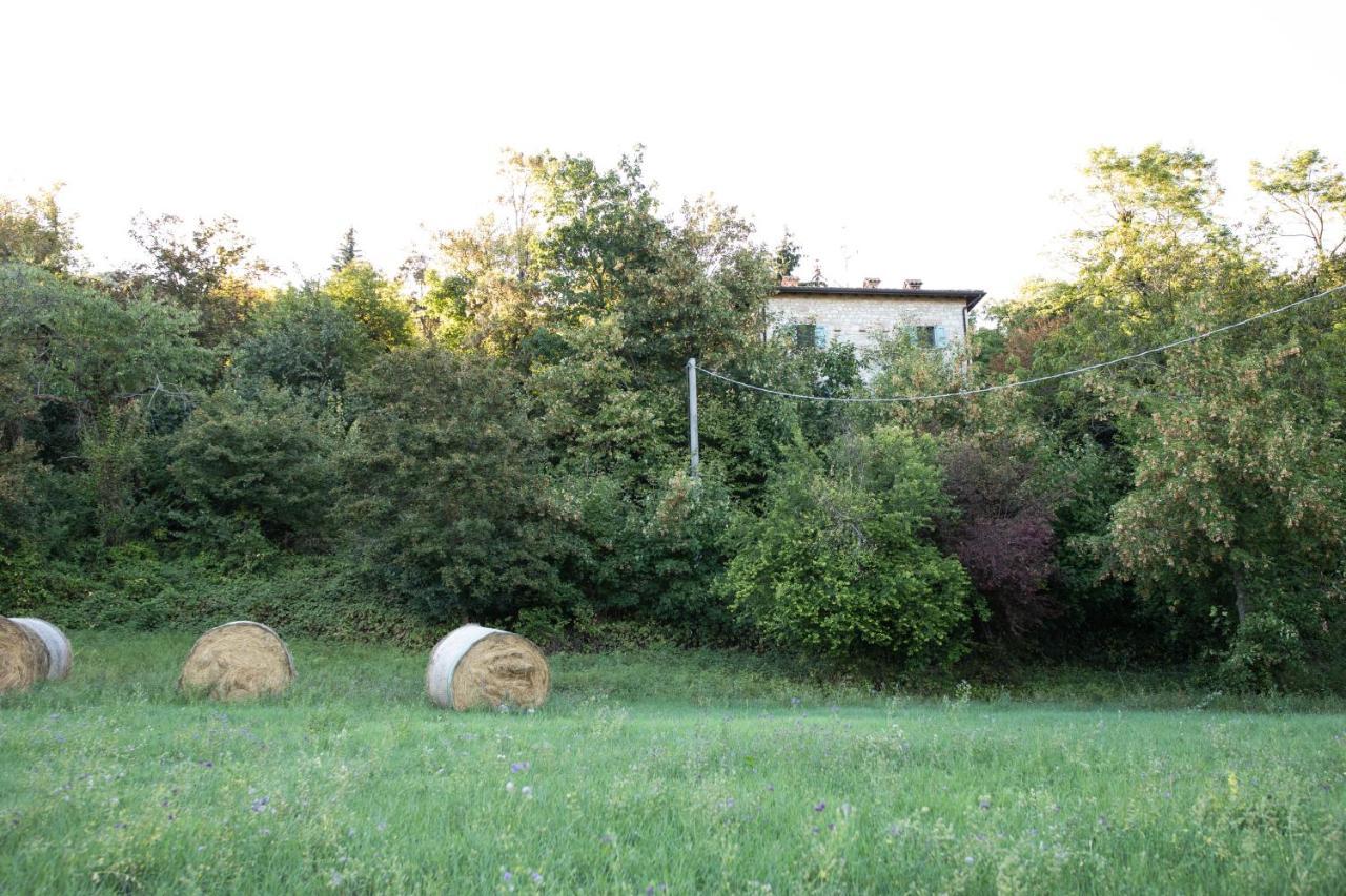Apartament La Marcona Serramazzoni Zewnętrze zdjęcie